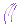 Moustache_Of_Mole