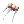 Nail_Of_Mole