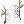 Spiderweb