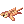 Tiger's_Skin