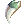 Dragon_Canine