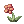 Fancy_Flower