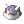 Gemmed_Sallet_