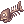 Rotten_Fish