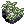 Dew_Laden_Moss