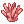 Coral_Reef
