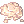 Spawns