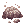 Poison_Powder