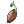 Germinating_Sprout
