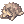 Raccoondog_Doll