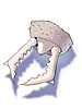Jaws_Of_Ant