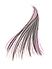 Long_Hair