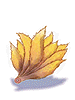 Fox_Tail