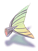 Fish_Tail