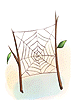 Spiderweb