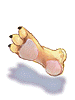 Tiger_Footskin