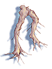 Root_Of_Maneater