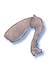 Short_Leg