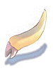 Tooth_Of_