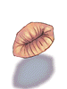 Lip_Of_Ancient_Fish