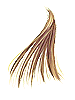 Golden_Hair