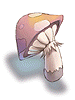 Mushroom_Of_Thief_1