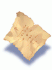 Worn_Out_Page