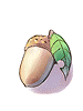 Unripe_Acorn