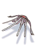 Finger_