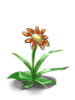 Fancy_Flower