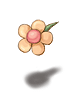 Centimental_Flower