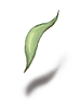 Centimental_Leaf