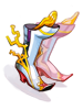 Variant_Shoes