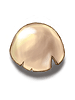 Egg_Shell