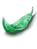 Green_Herb