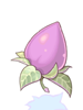 Fruit_Of_Mastela