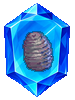 Collection: Eco de Pupa