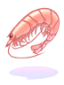 Prawn