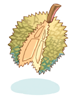 Prickly_Fruit