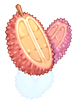Prickly_Fruit_