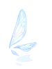 Wing_Of_Fly