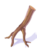 Branch_Of_Dead_Tree