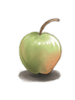 Unripe_Apple