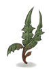 Bitter_Herb