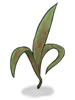 Deadly_Noxious_Herb
