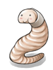 Fatty_Chubby_Earthworm