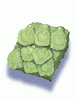 Anolian_Skin