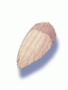 Claw_Of_Monkey