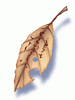 Bookclip_In_Memory