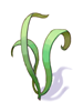 Singing_Plant